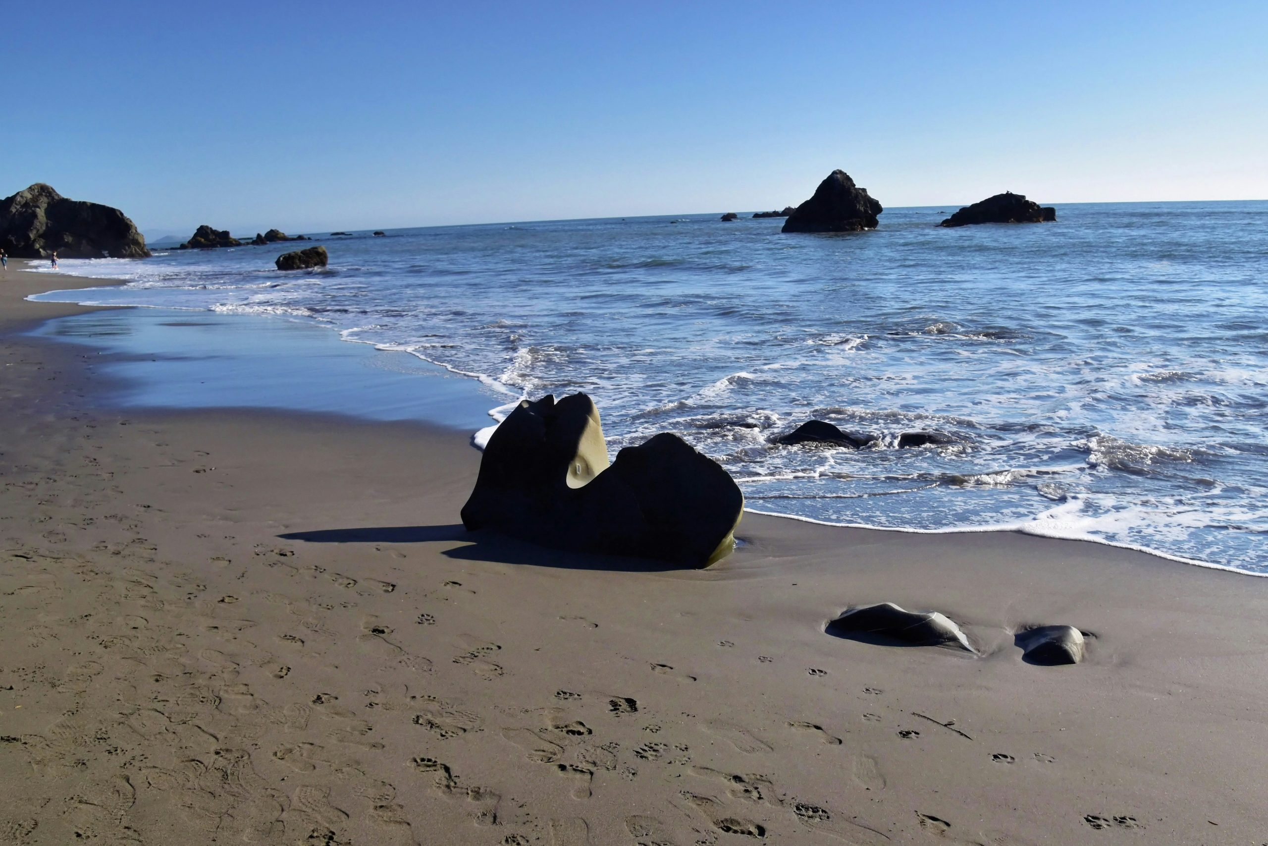 jeffrey-eisen-ghDHCnFdO-Q-unsplash