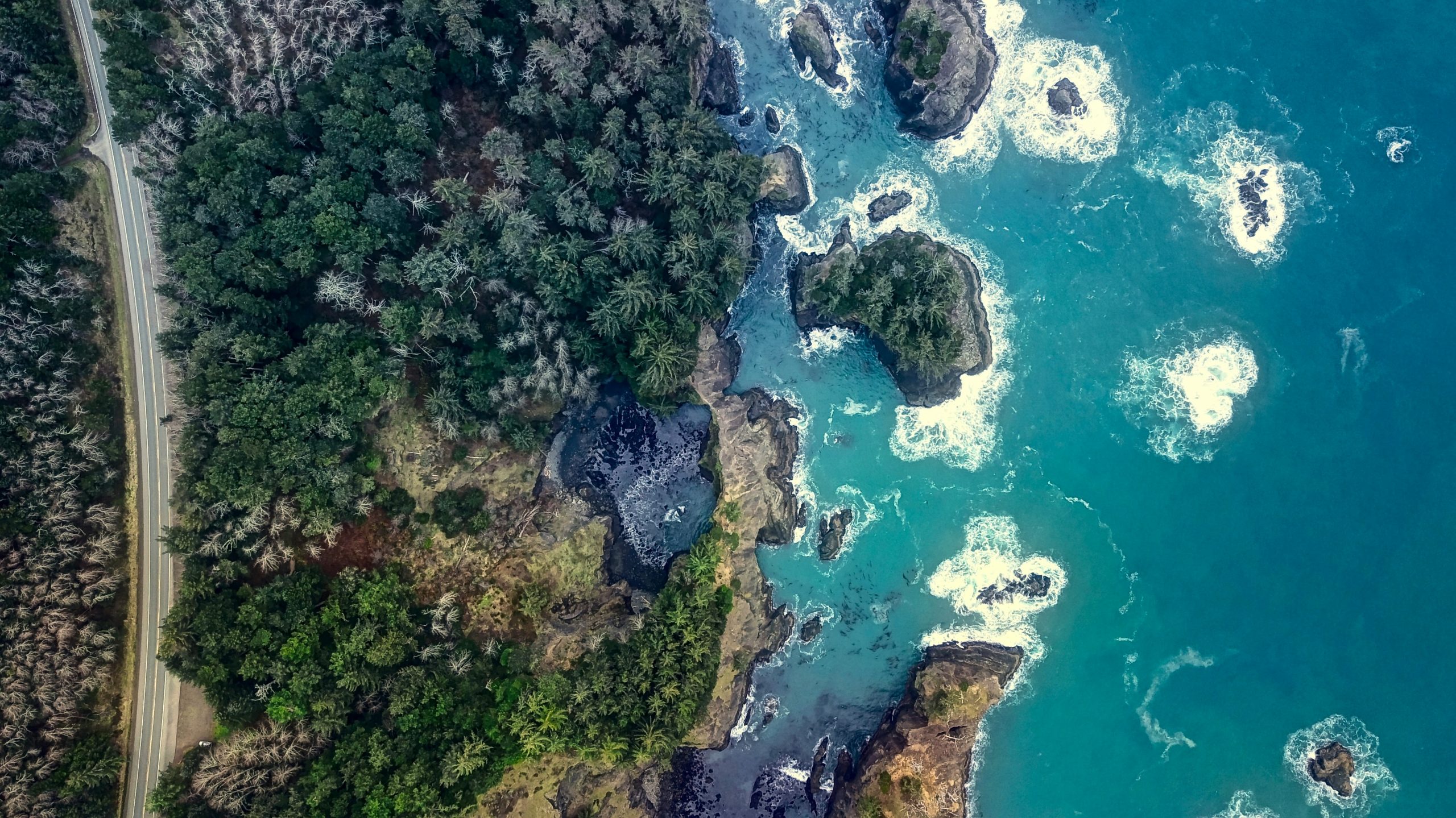 venti-views-fIec6RjIxRU-unsplash (1)